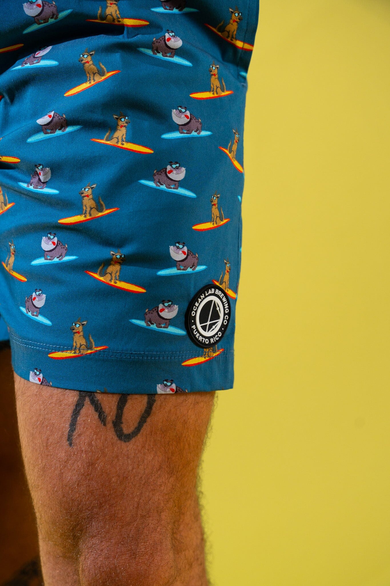 Coast Swim Trunks - Image 15