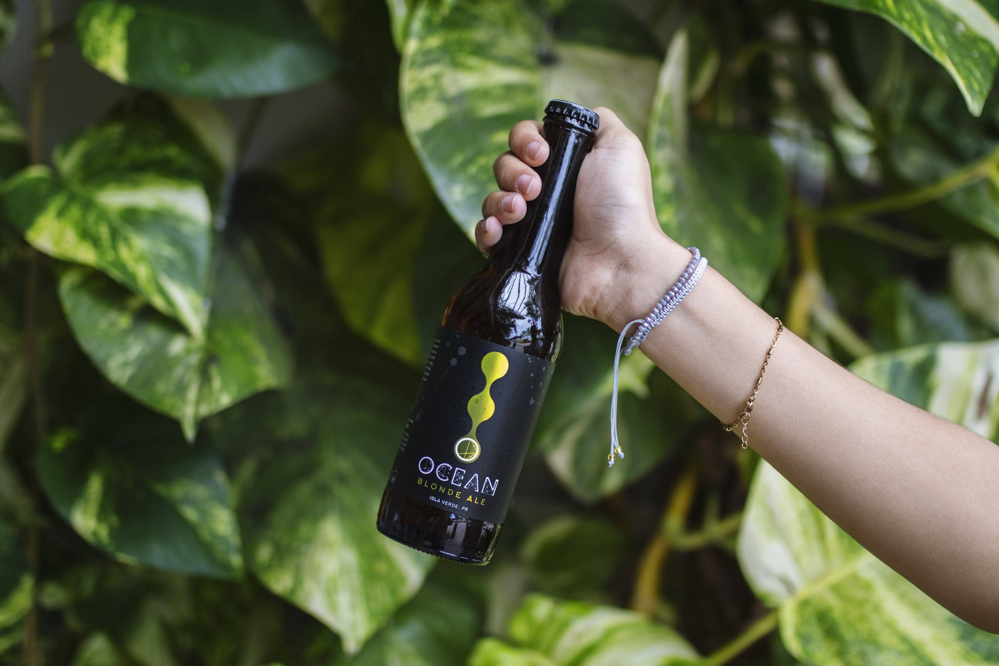 Blonde Ale - Image 3