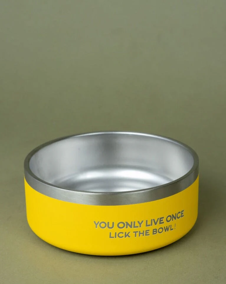 Dog Insulated Bowl - Small - Image 8