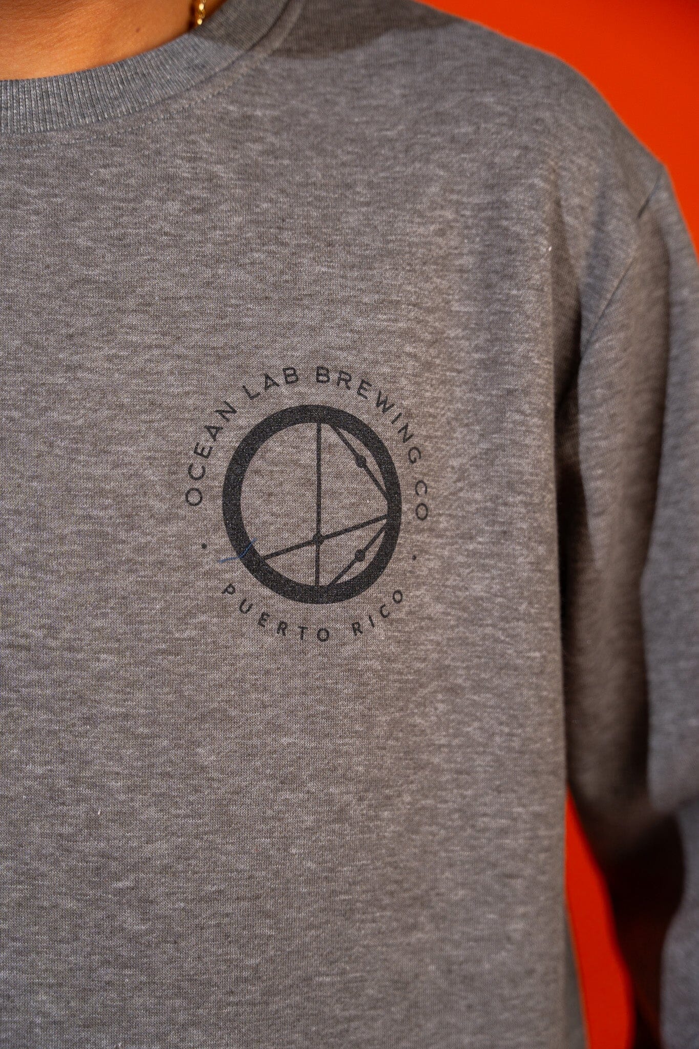 Crewneck Sweatshirt * - Image 6