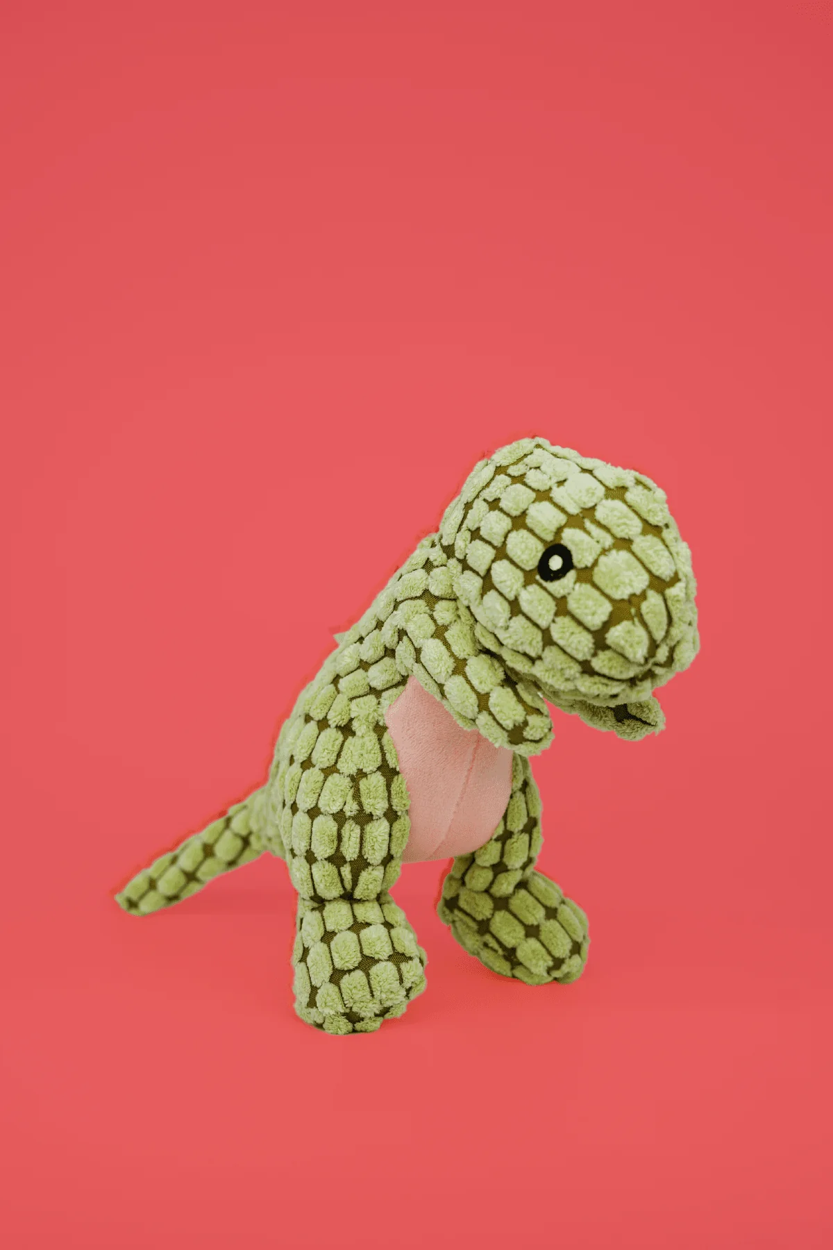 Dinosaur Dog Toy