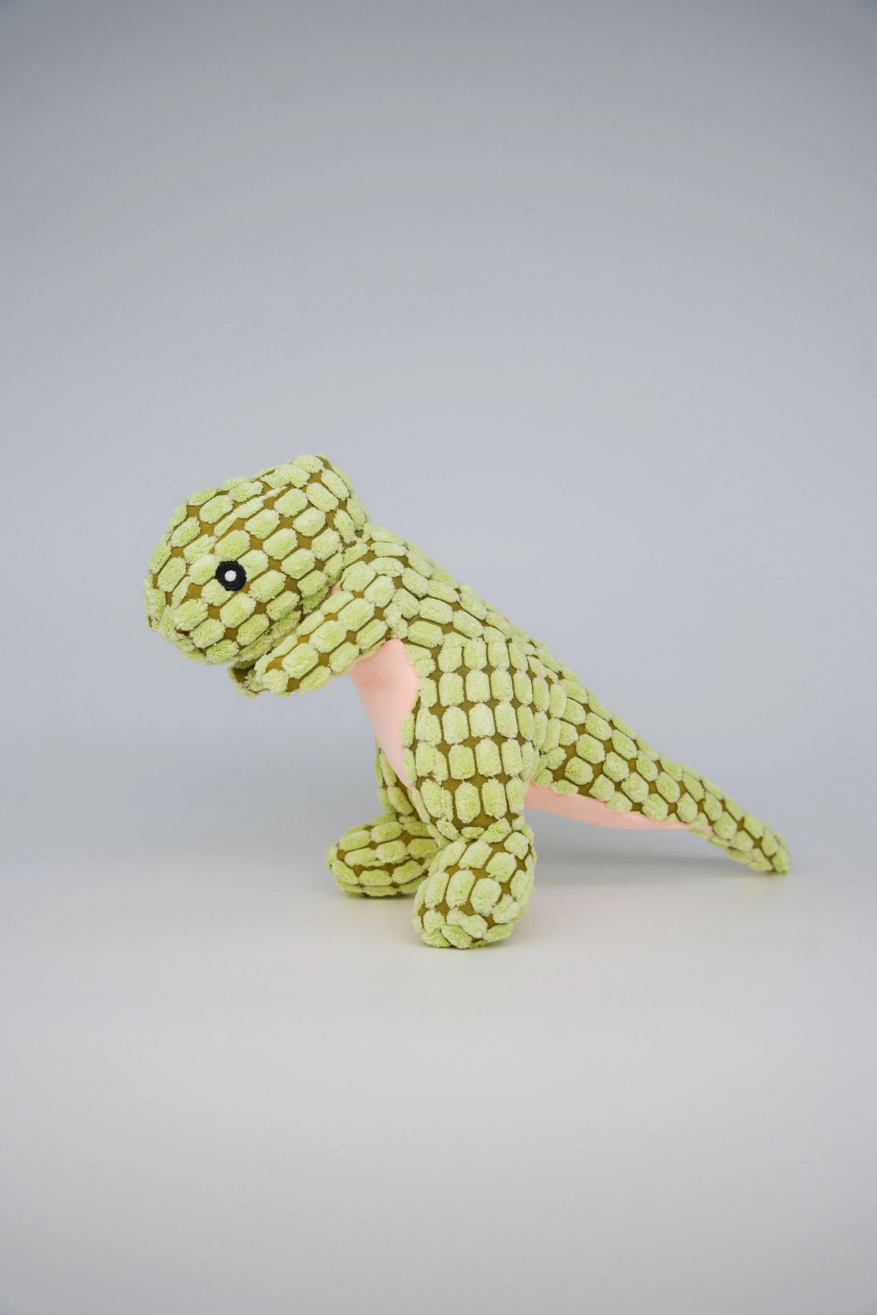 Dinosaur Dog Toy - Image 2