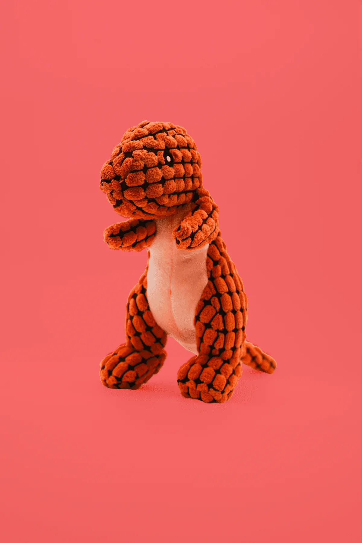 Dinosaur Dog Toy - Image 5