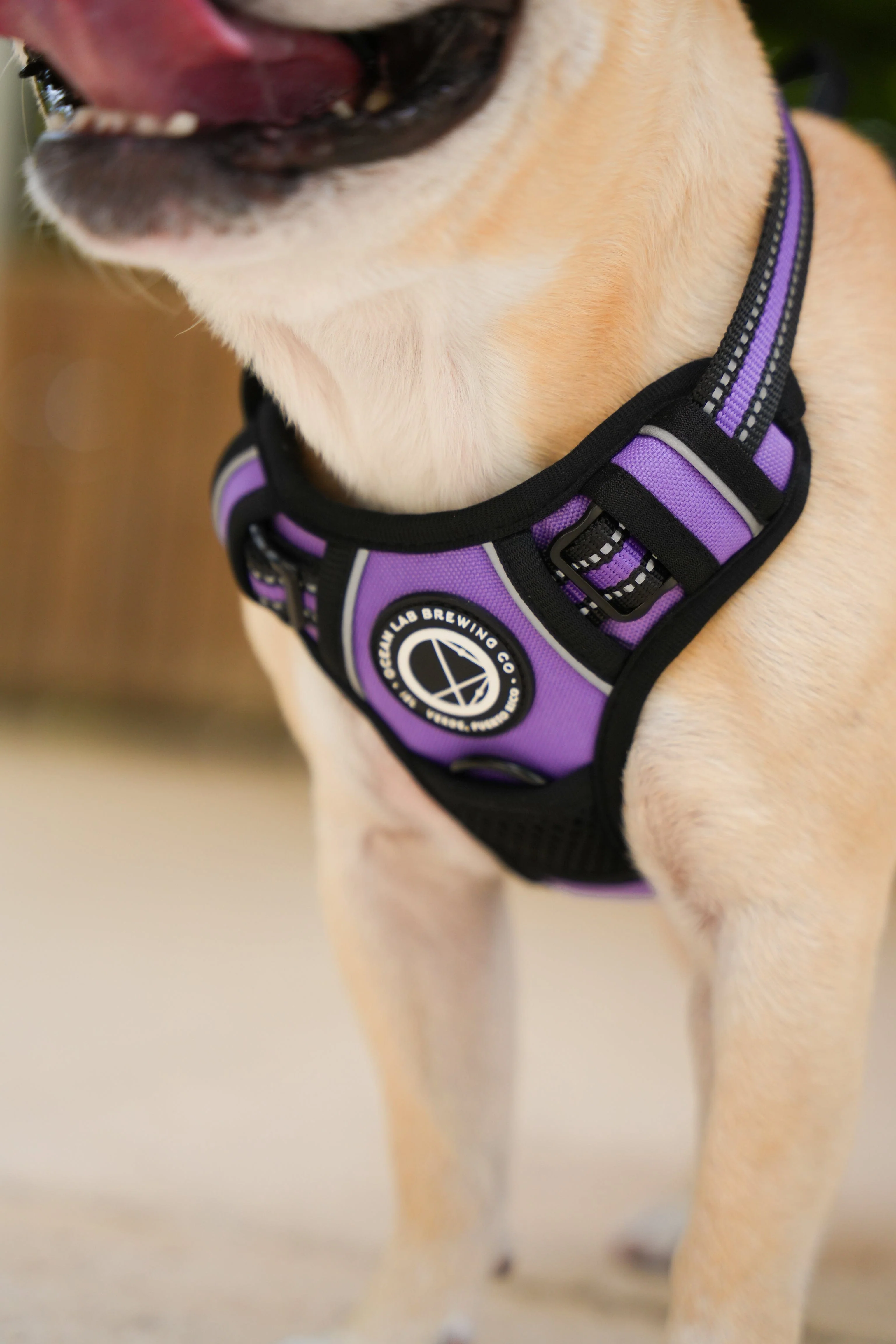 Dog Harness - Image 8