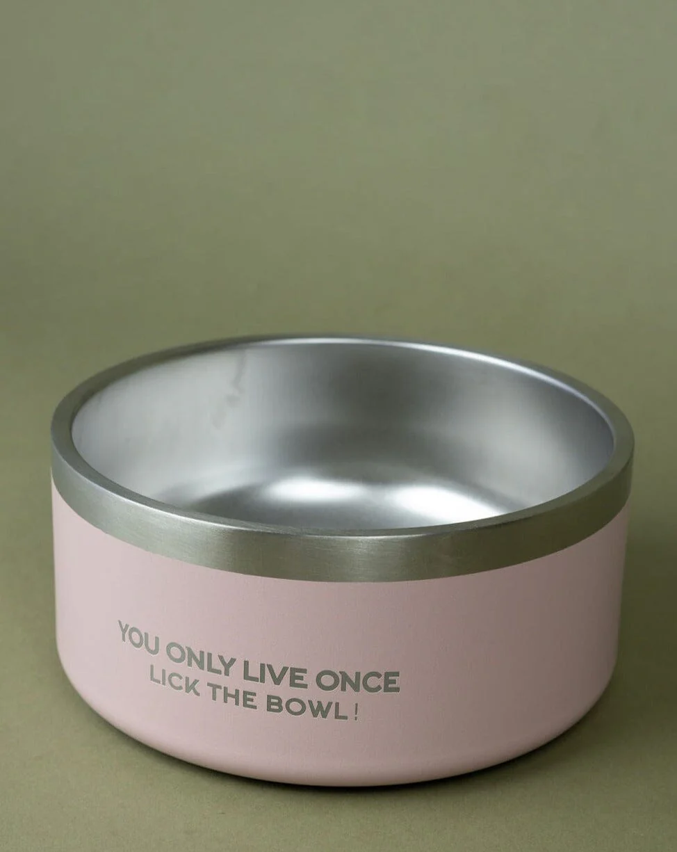 Dog Insulated Bowl - Large - Image 12