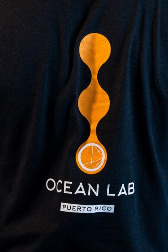 OL Drop Short Sleeve T-Shirt - Image 5