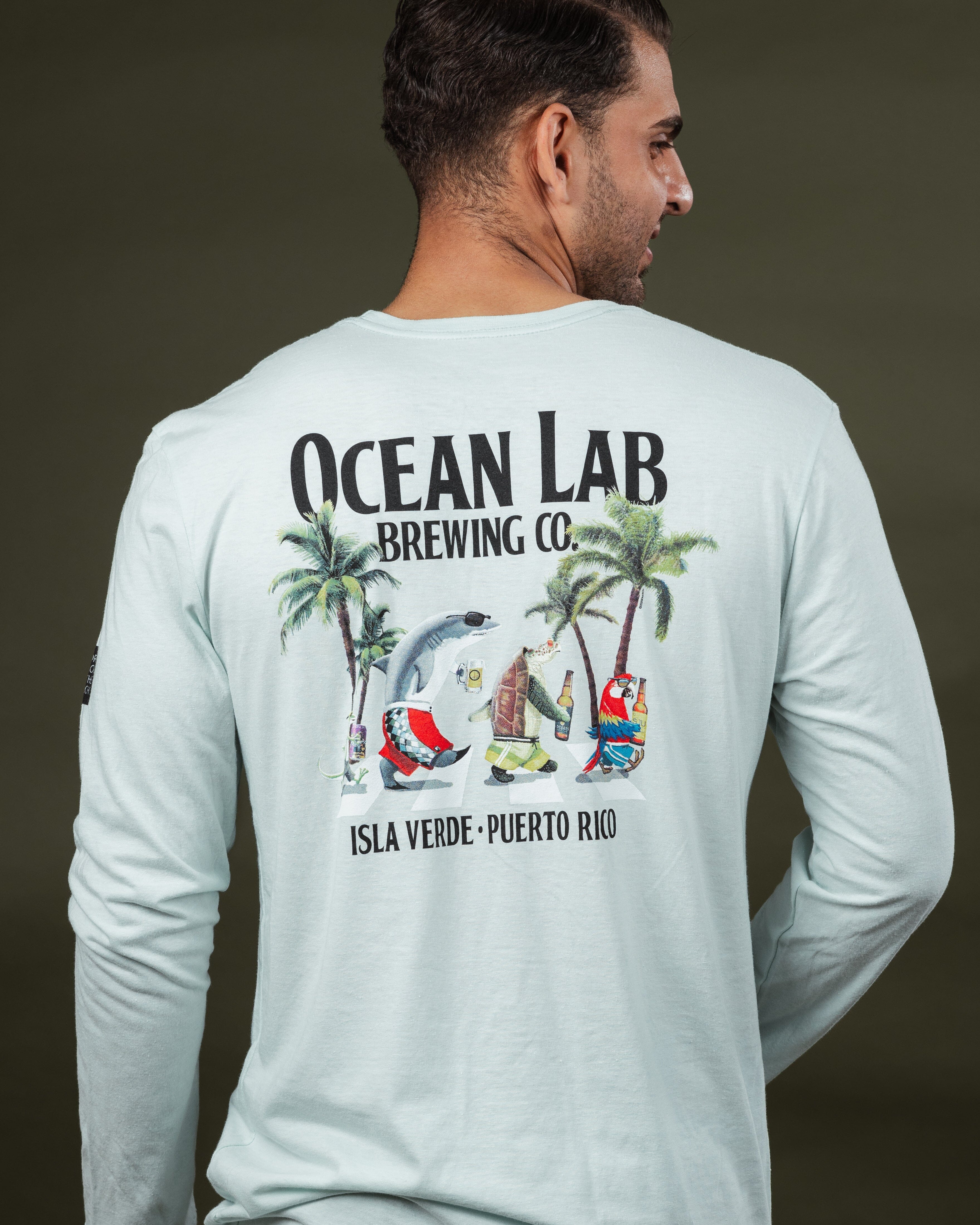 Follow The Sun Tri-Blend Long Sleeve T-Shirt