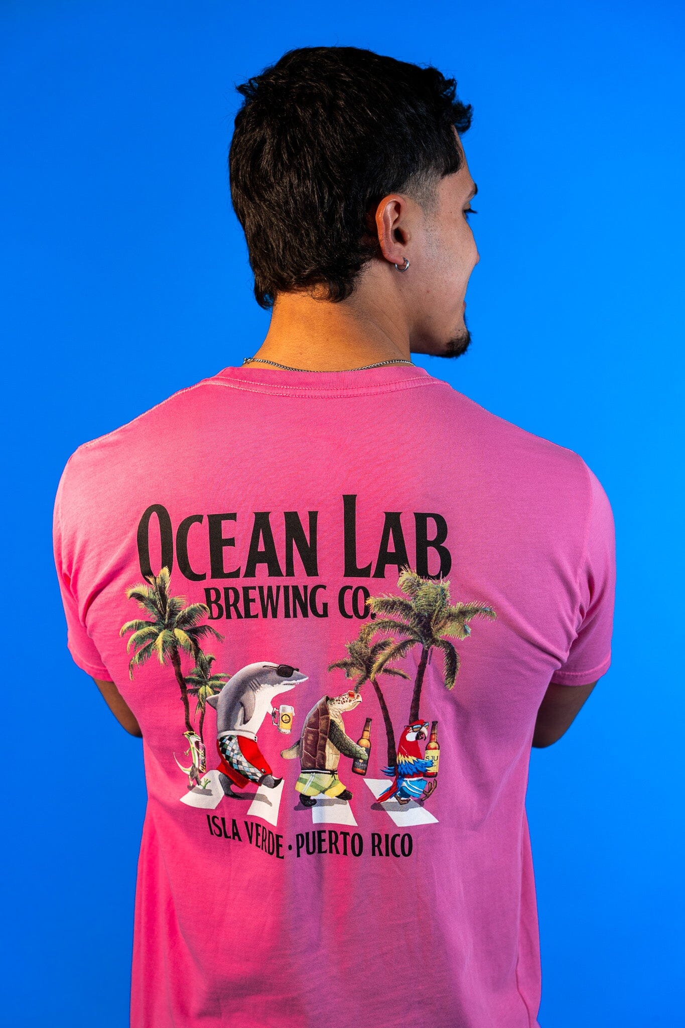 Follow The Sun Short Sleeve T-Shirt - Azalea