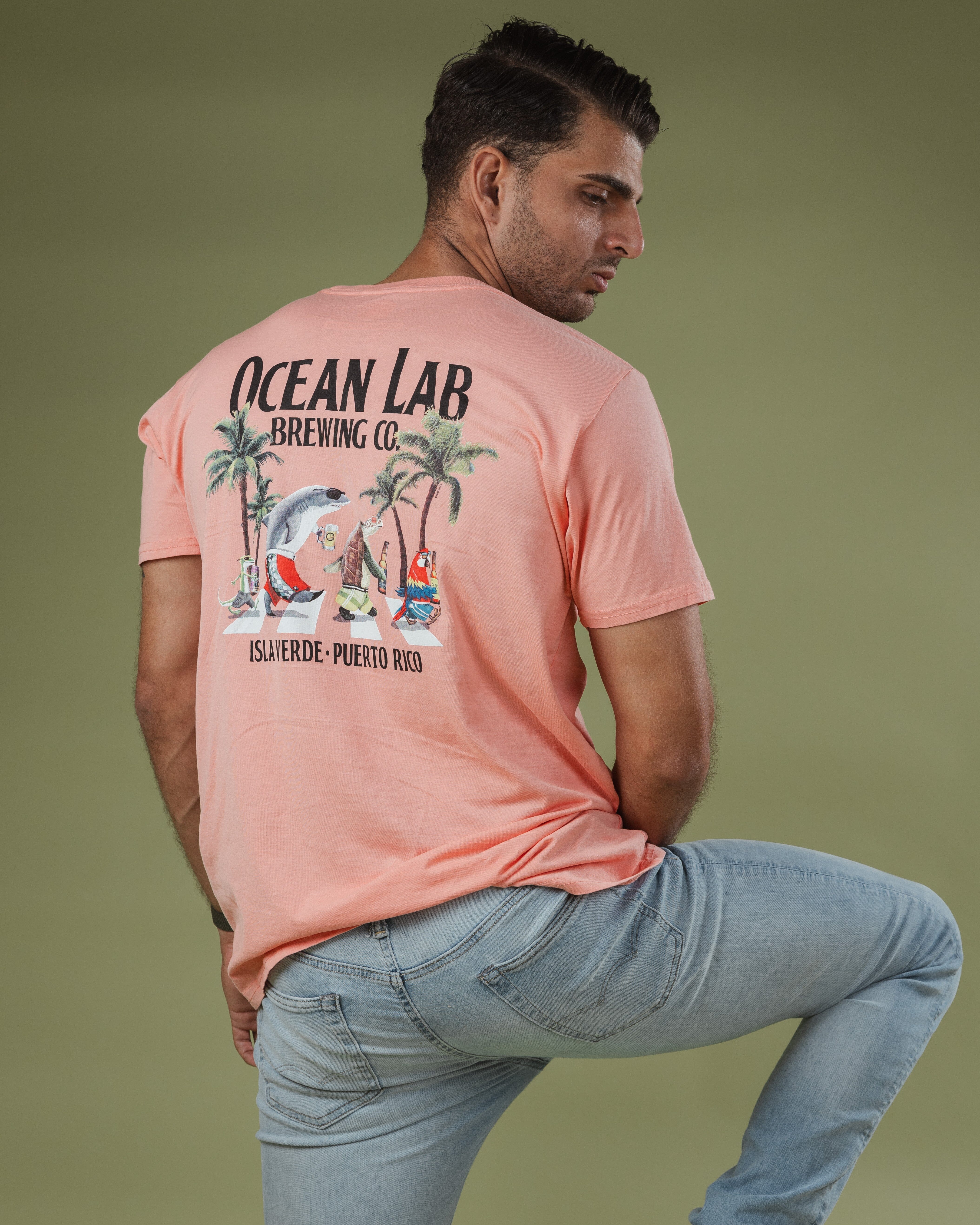 Follow The Sun Short Sleeve T-Shirt - Dusty Coral