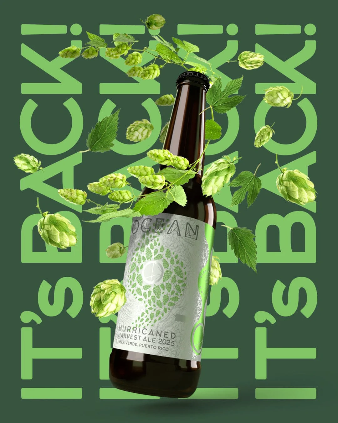 Hurricaned Harvest Ale 2025
