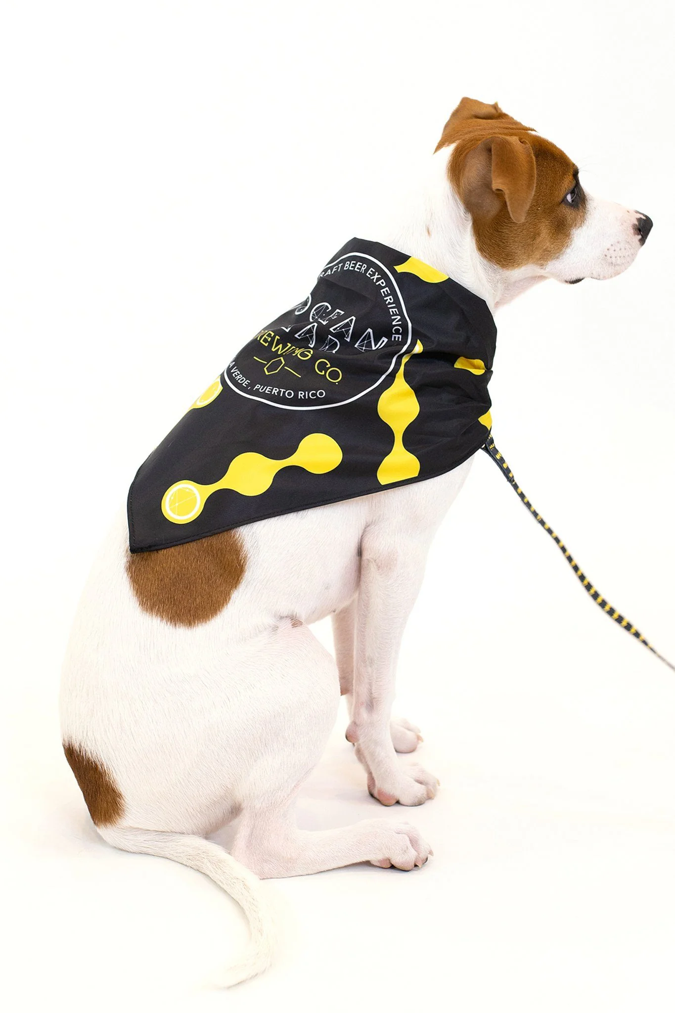 Ocean Lab Classic Dog Bandana - Image 2