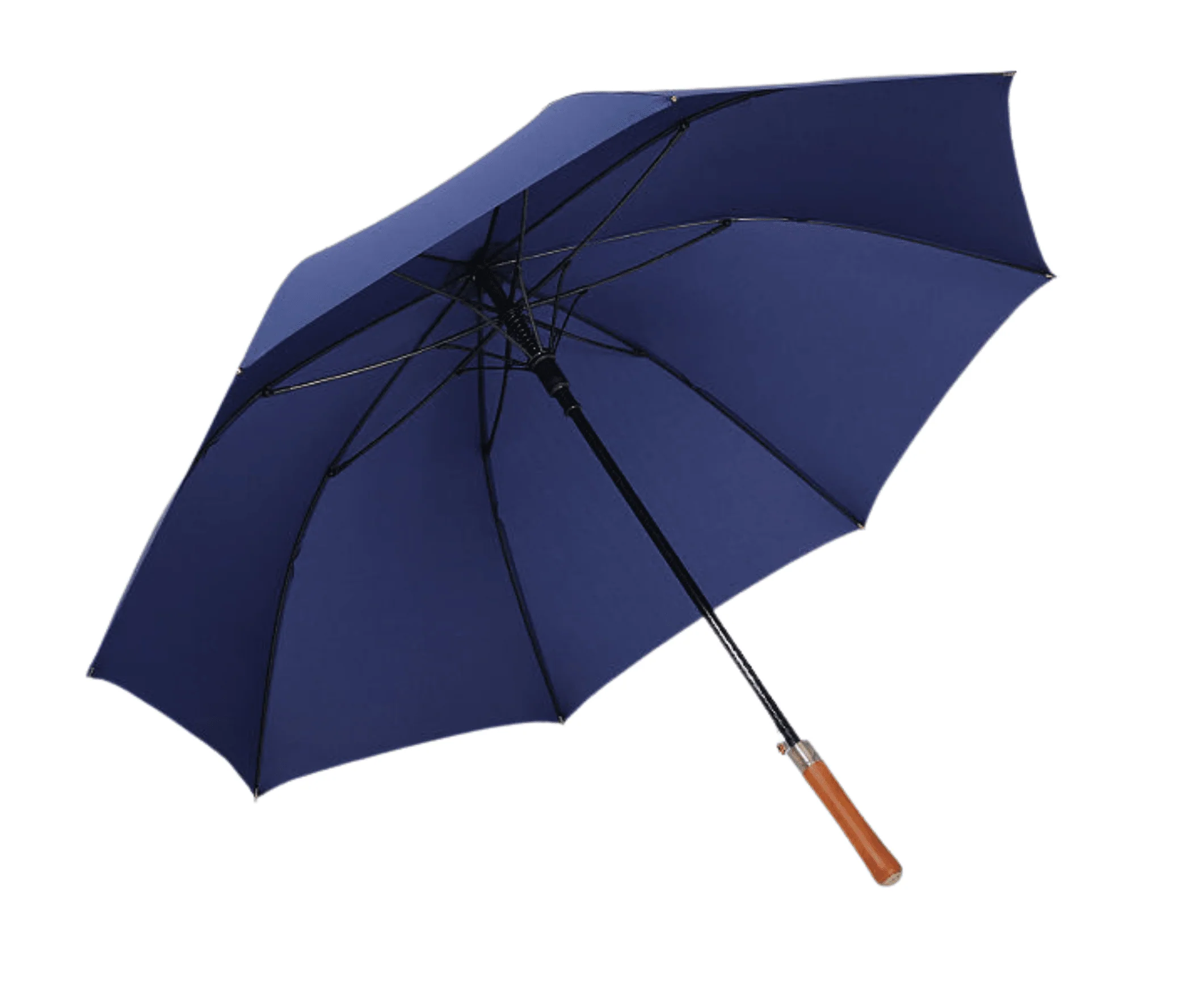 The Business Ocean Lab Large Umbrella - Image 3
